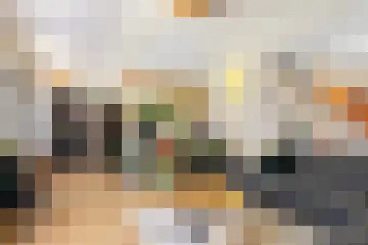 De Zeis 17 Apeldoorn thumbnail 13