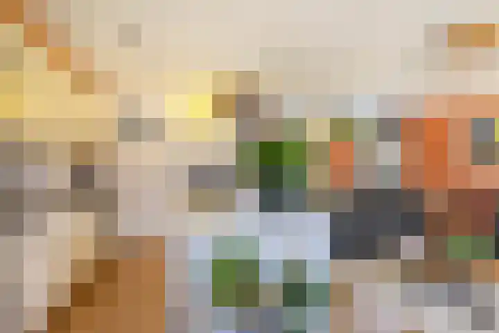 De Zeis 17 Apeldoorn thumbnail 14