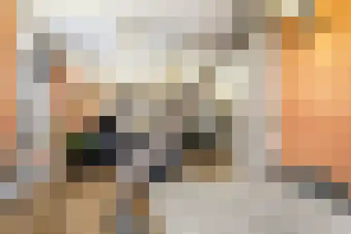 De Zeis 17 Apeldoorn thumbnail 17