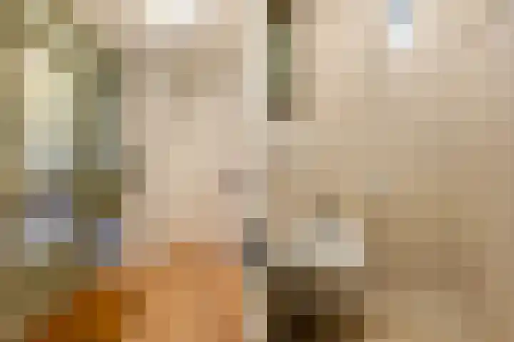 De Zeis 17 Apeldoorn thumbnail 18