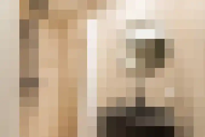 De Zeis 17 Apeldoorn thumbnail 19