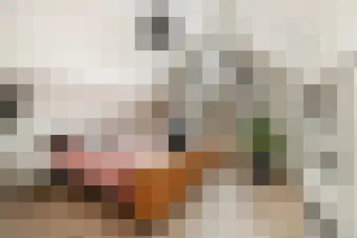 De Zeis 17 Apeldoorn thumbnail 22