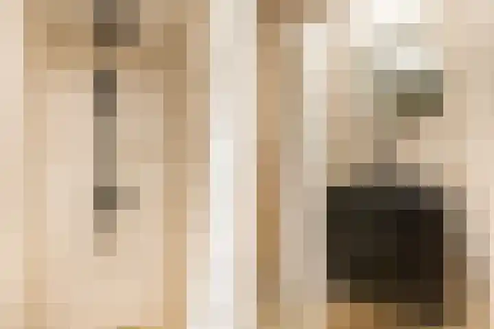 De Zeis 17 Apeldoorn thumbnail 4