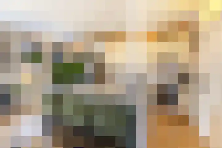 De Zeis 17 Apeldoorn thumbnail 5