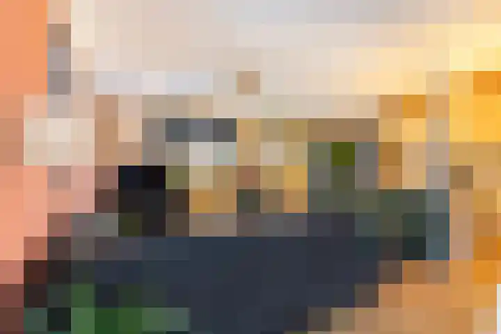 De Zeis 17 Apeldoorn thumbnail 7