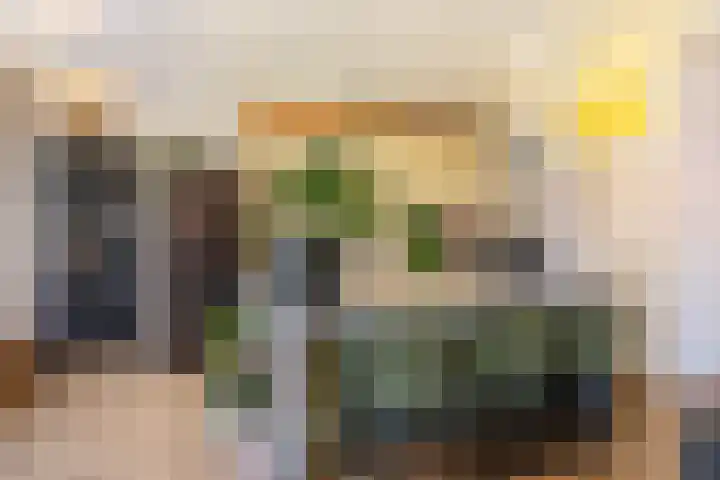 De Zeis 17 Apeldoorn thumbnail 9