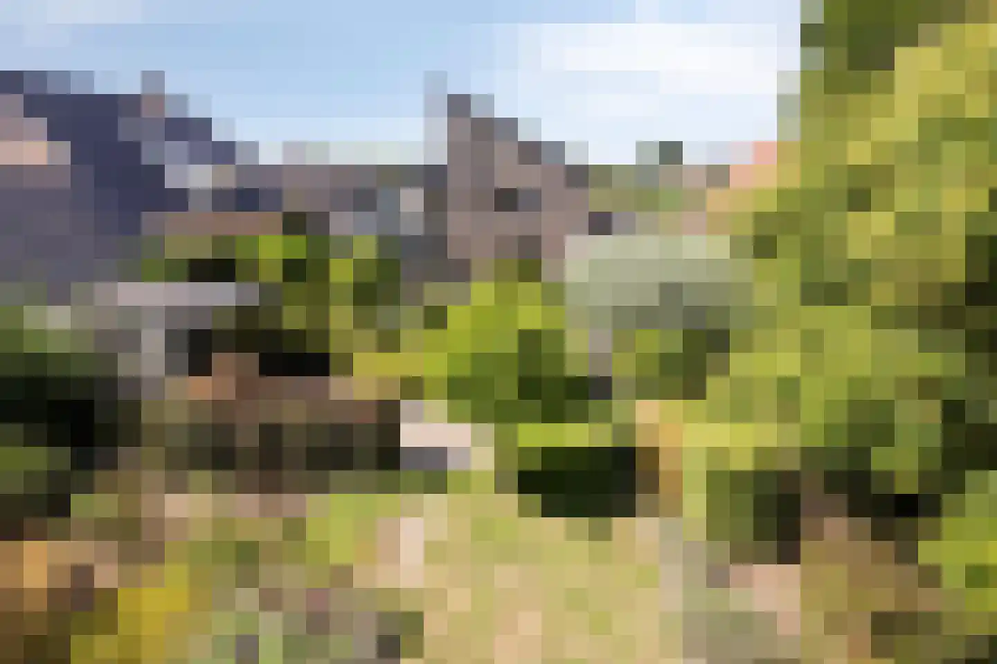 De Zeis 20 Groesbeek thumbnail 38