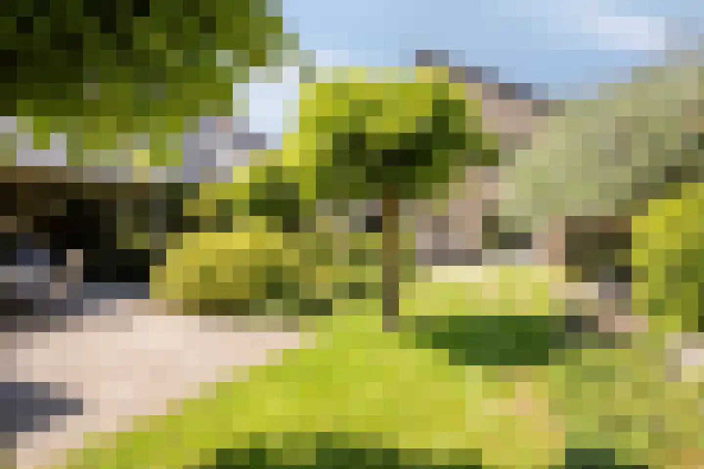 De Zeis 20 Groesbeek thumbnail 40
