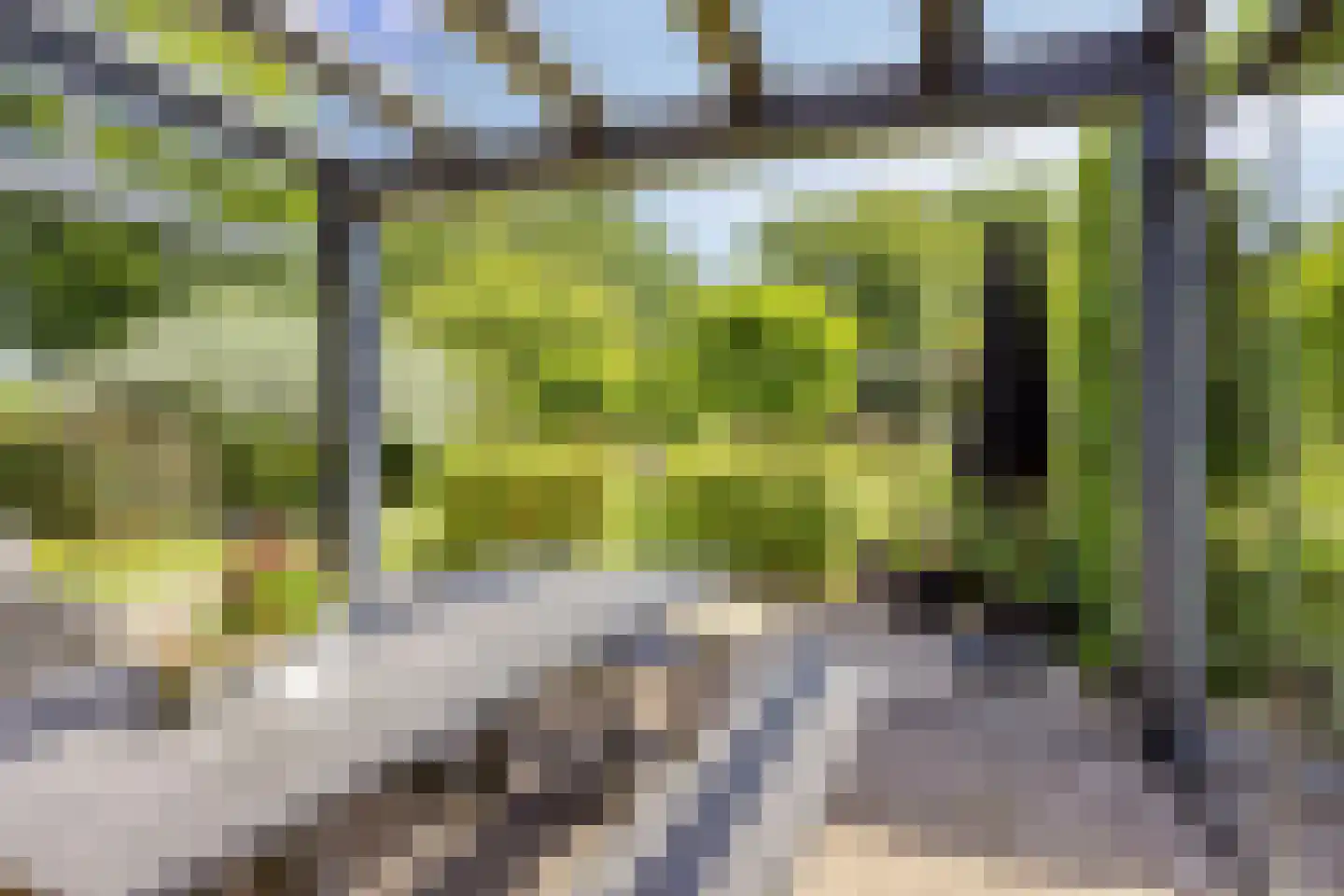 De Zeis 20 Groesbeek thumbnail 45