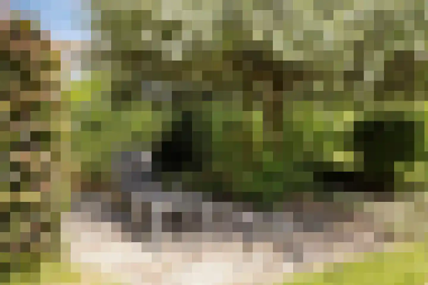 De Zeis 20 Groesbeek thumbnail 47