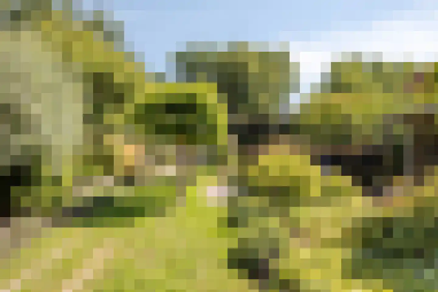 De Zeis 20 Groesbeek thumbnail 48