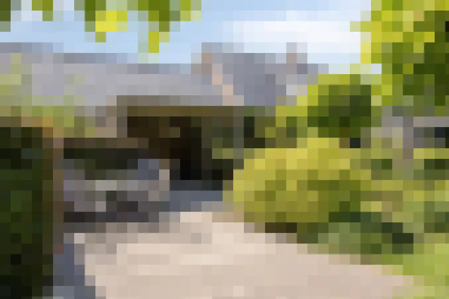 De Zeis 20 Groesbeek thumbnail 49