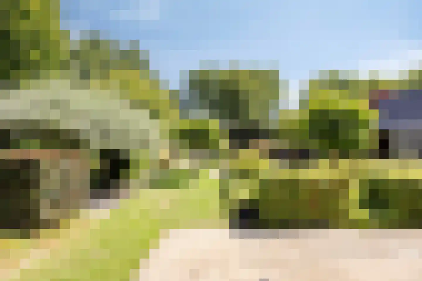 De Zeis 20 Groesbeek thumbnail 5
