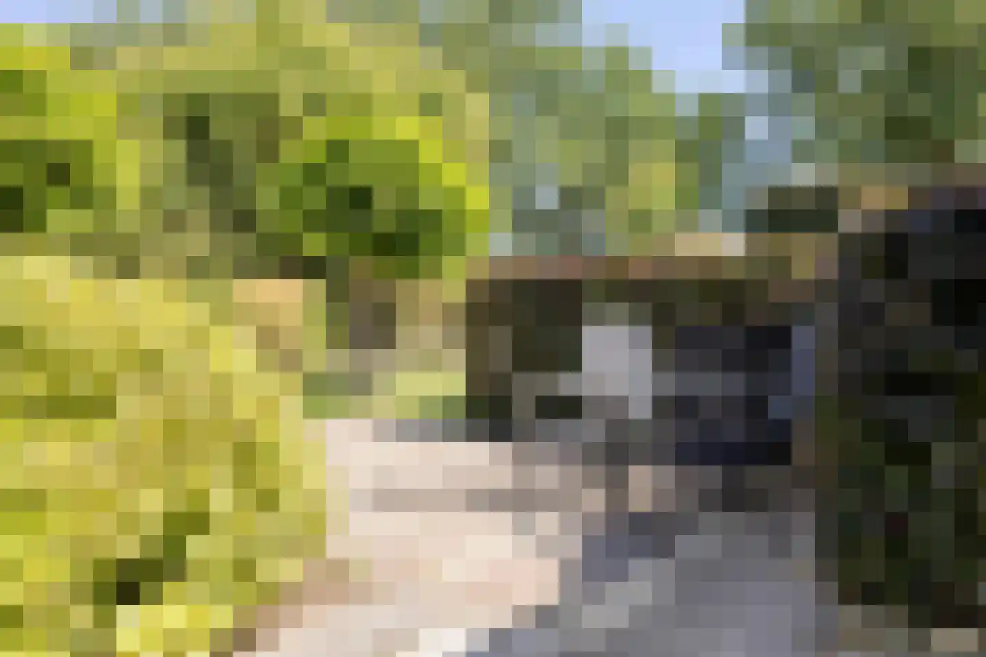 De Zeis 20 Groesbeek thumbnail 50