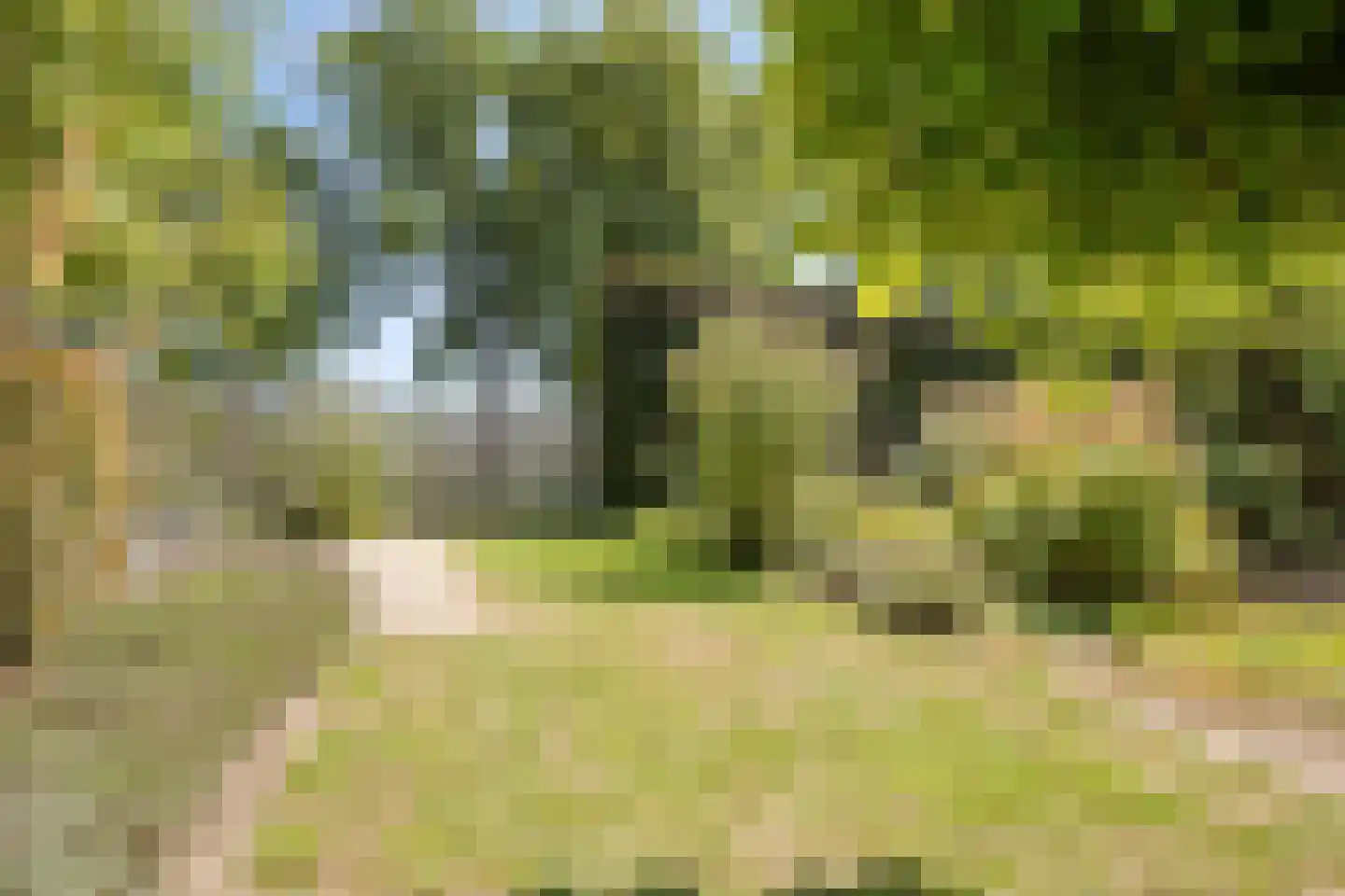 De Zeis 20 Groesbeek thumbnail 51