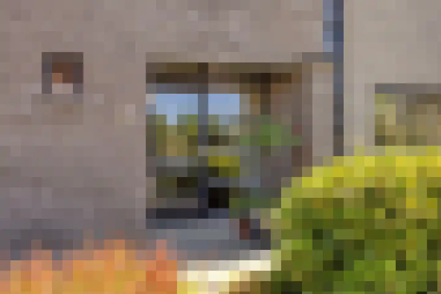 De Zeis 20 Groesbeek thumbnail 7