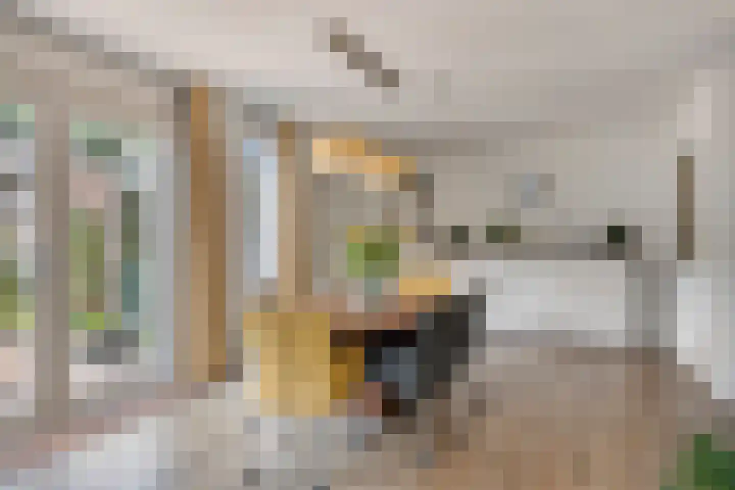 De Zeis 22 Apeldoorn thumbnail 11
