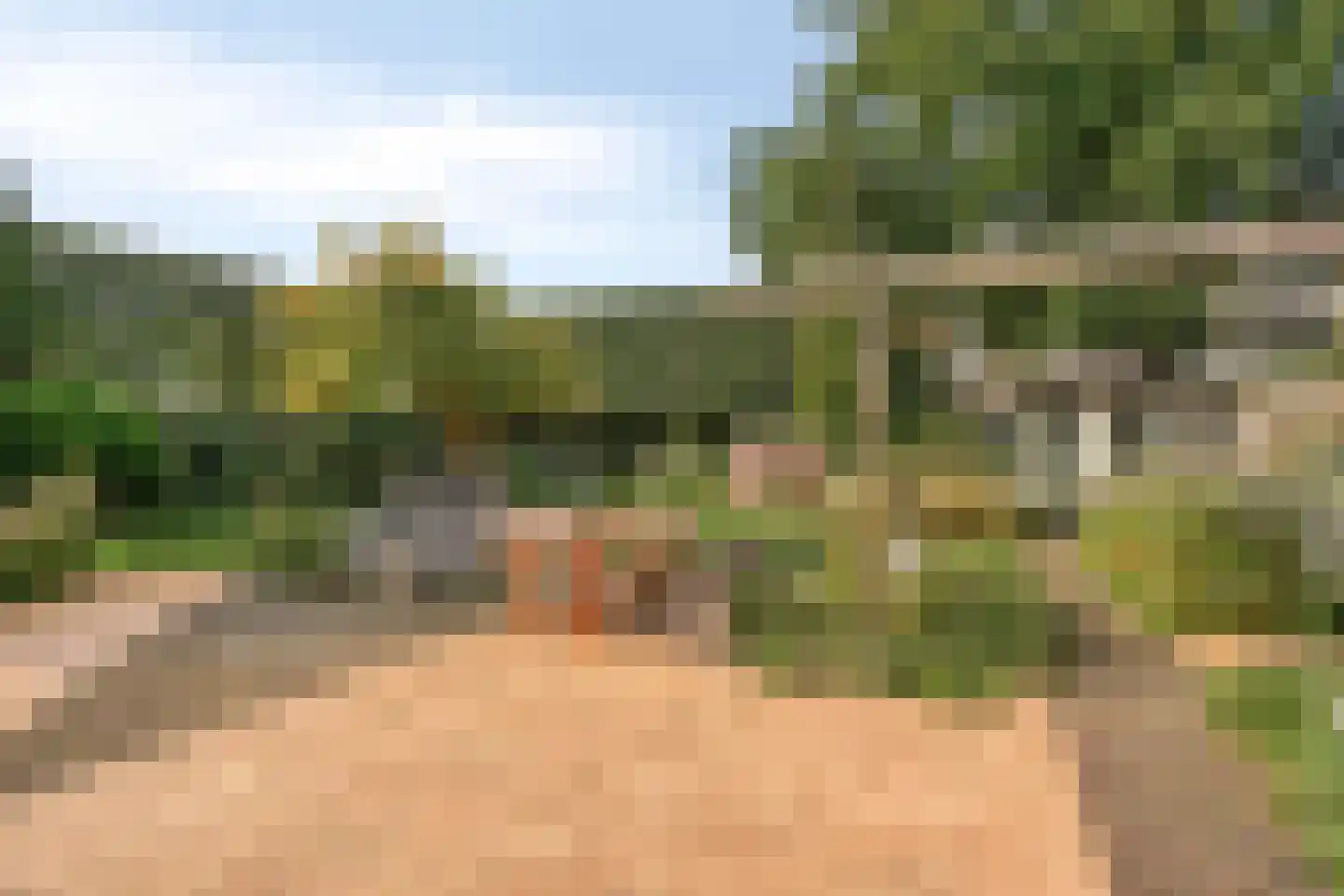 De Zeis 22 Apeldoorn thumbnail 15
