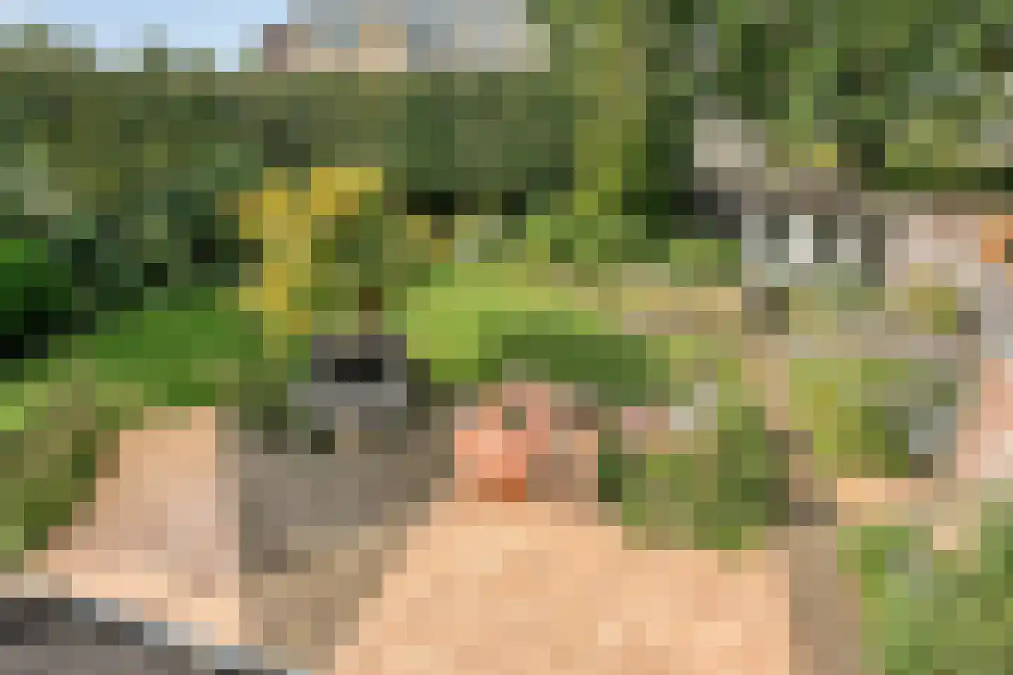 De Zeis 22 Apeldoorn thumbnail 21