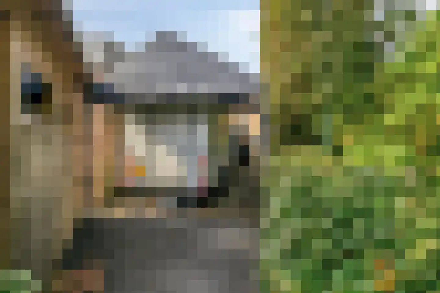 De Zeis 22 Apeldoorn thumbnail 22