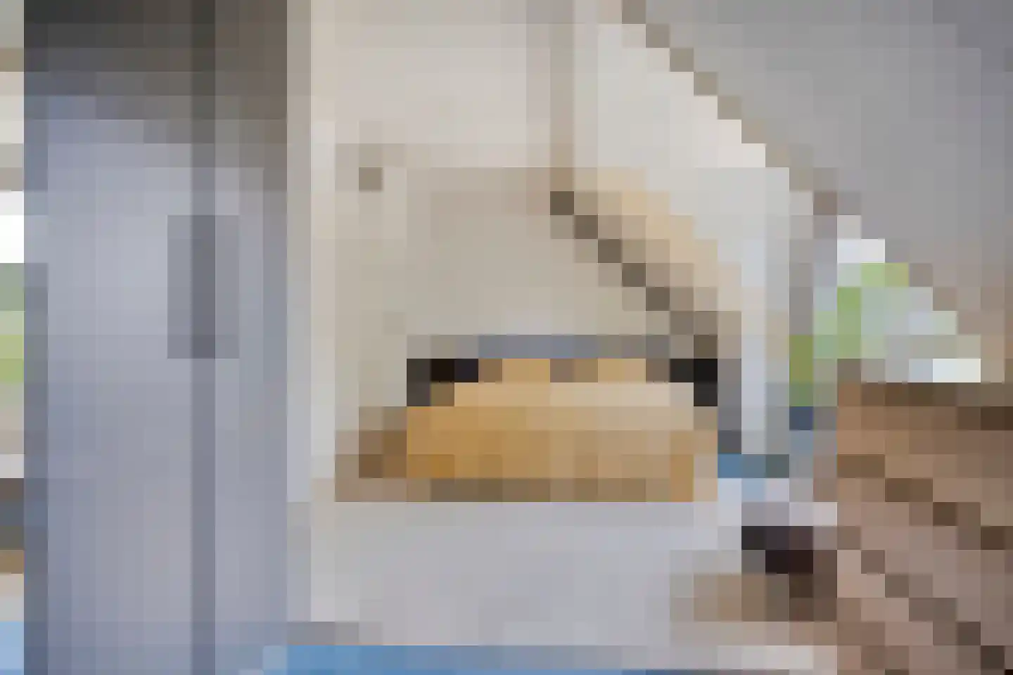 De Zeis 22 Apeldoorn thumbnail 25