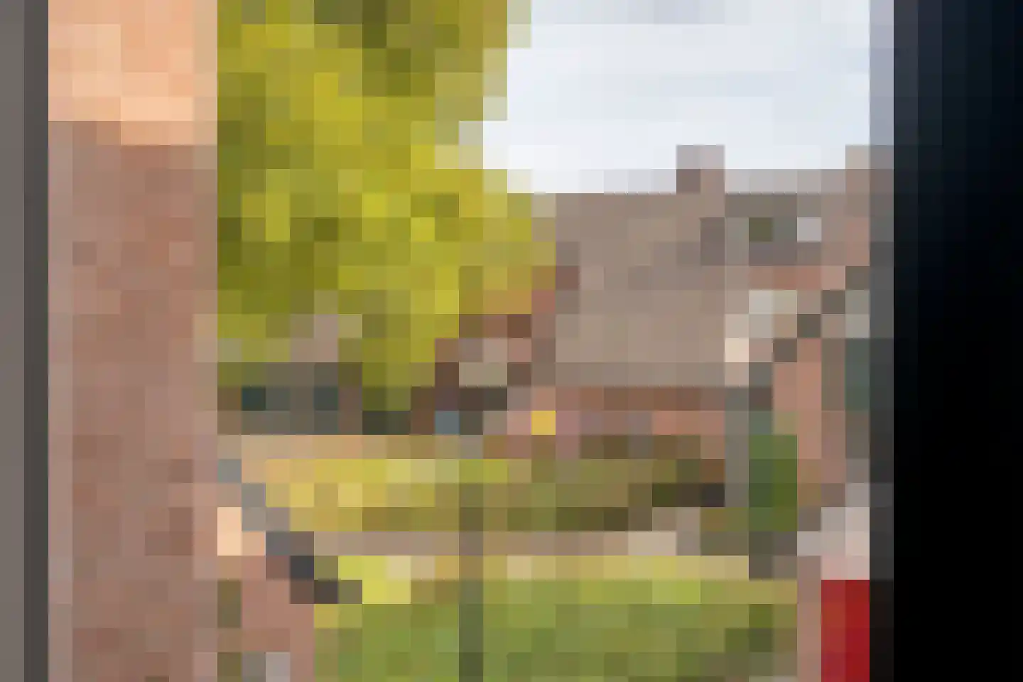 De Zeis 22 Apeldoorn thumbnail 37