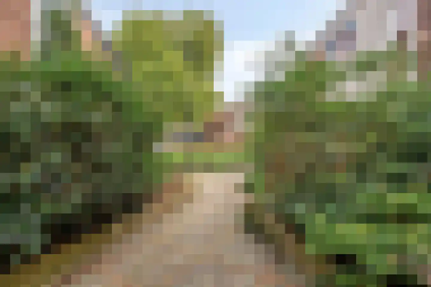 De Zeis 22 Apeldoorn thumbnail 40