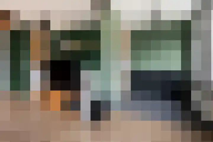 De Zeis 31 Apeldoorn thumbnail 10