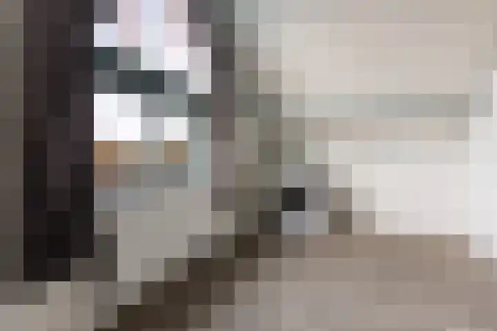De Zeis 31 Apeldoorn thumbnail 26