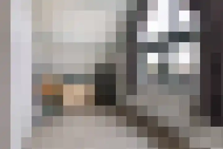 De Zeis 31 Apeldoorn thumbnail 27