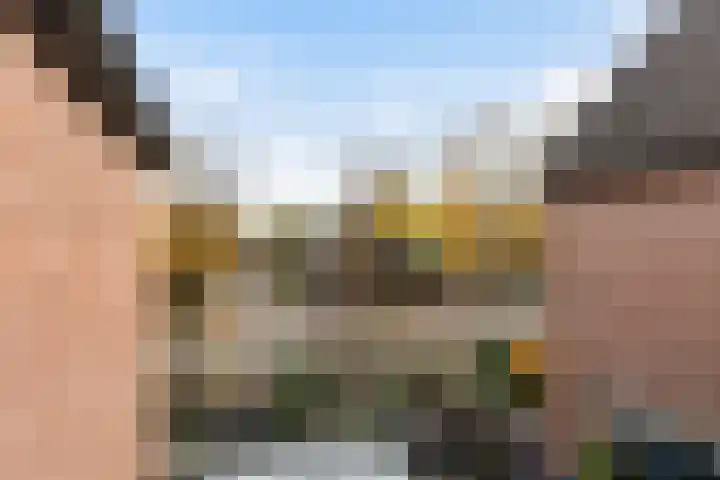 De Zeis 31 Apeldoorn thumbnail 30