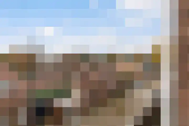 De Zeis 31 Apeldoorn thumbnail 31
