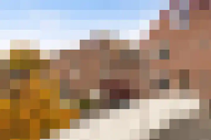 De Zeis 31 Apeldoorn thumbnail 32