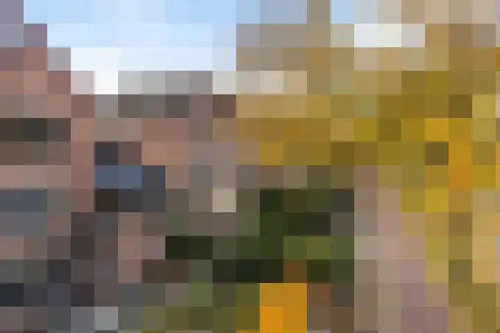 De Zeis 31 Apeldoorn thumbnail 33