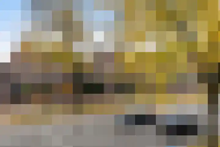 De Zeis 31 Apeldoorn thumbnail 35