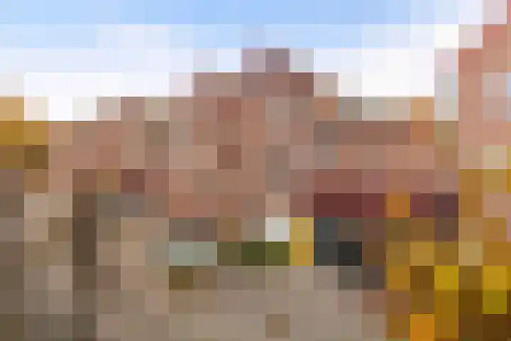 De Zeis 31 Apeldoorn thumbnail 5