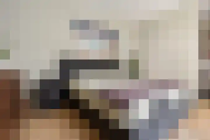 De Zeis 4 Arnhem thumbnail 10