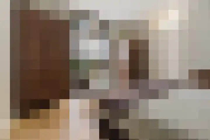 De Zeis 4 Arnhem thumbnail 12