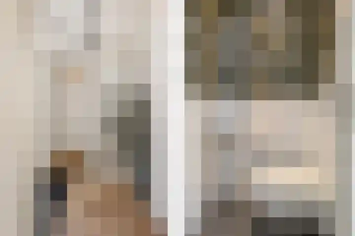 De Zeis 4 Arnhem thumbnail 16