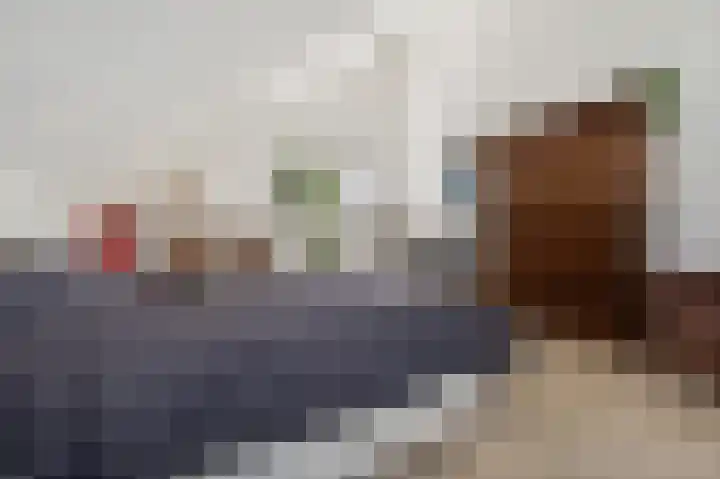 De Zeis 4 Arnhem thumbnail 20