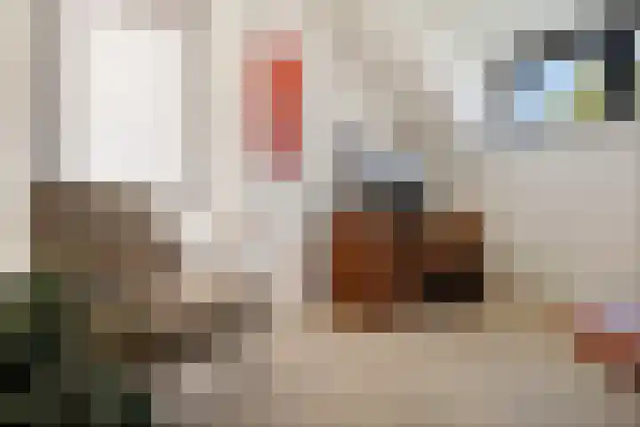 De Zeis 4 Arnhem thumbnail 22