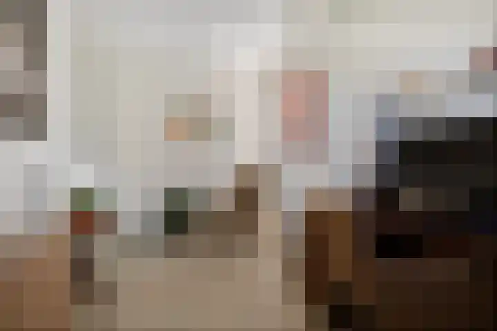 De Zeis 4 Arnhem thumbnail 23
