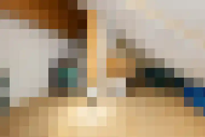 De Zeis 4 Arnhem thumbnail 25