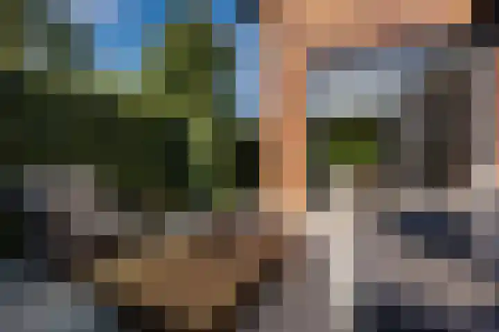 De Zeis 4 Arnhem thumbnail 27