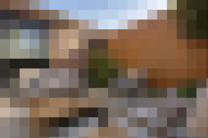 De Zeis 4 Arnhem thumbnail 28