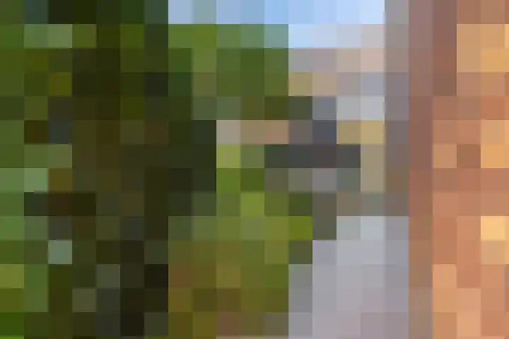De Zeis 4 Arnhem thumbnail 29