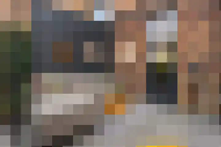 De Zeis 4 Arnhem thumbnail 30
