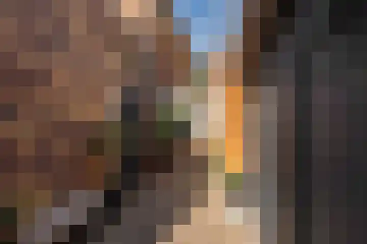 De Zeis 4 Arnhem thumbnail 31