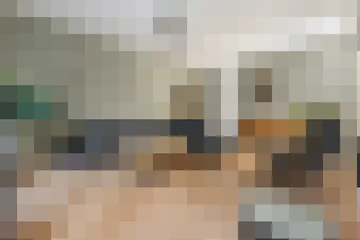 De Zeis 4 Arnhem thumbnail 4