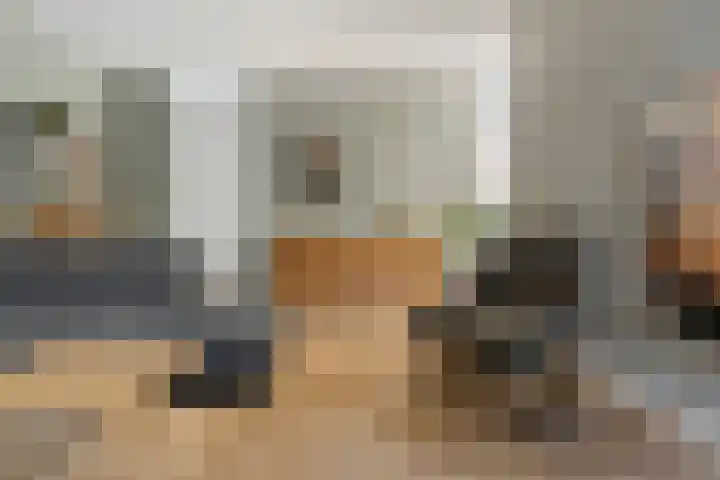 De Zeis 4 Arnhem thumbnail 5